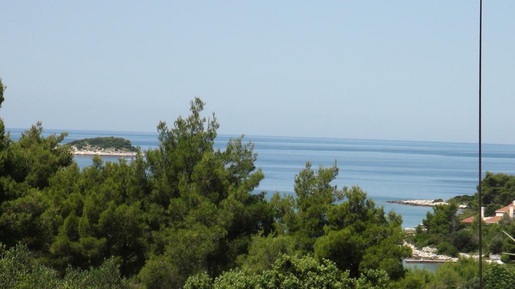 Apartment Vesna Vela Luka Zewnętrze zdjęcie