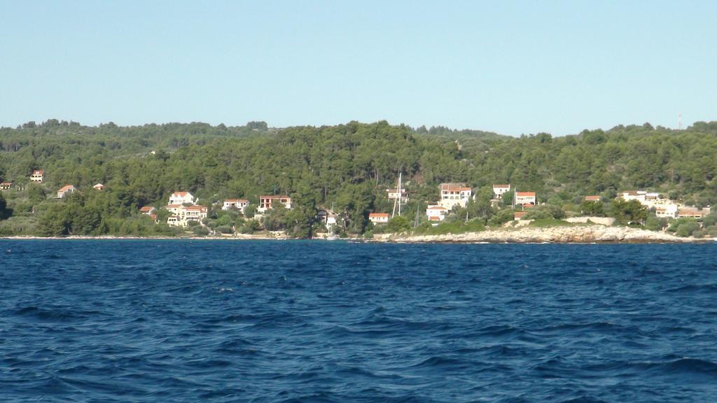 Apartment Vesna Vela Luka Zewnętrze zdjęcie